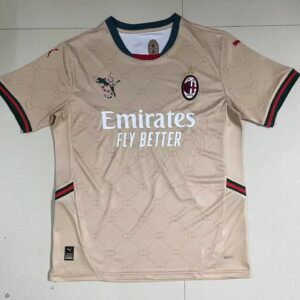 2024/2025 AC Milan Joint Edition Football Shirt 1:1 Thai Quality